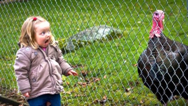 Acid Picdump. Part 1 (96 pics)