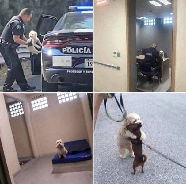 Acid Picdump. Part 1 (93 pics)