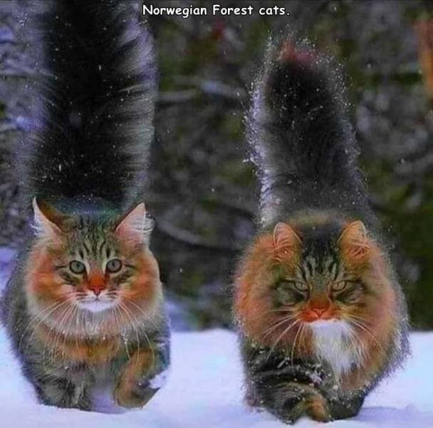 Acid Picdump. Part 1 (93 pics)