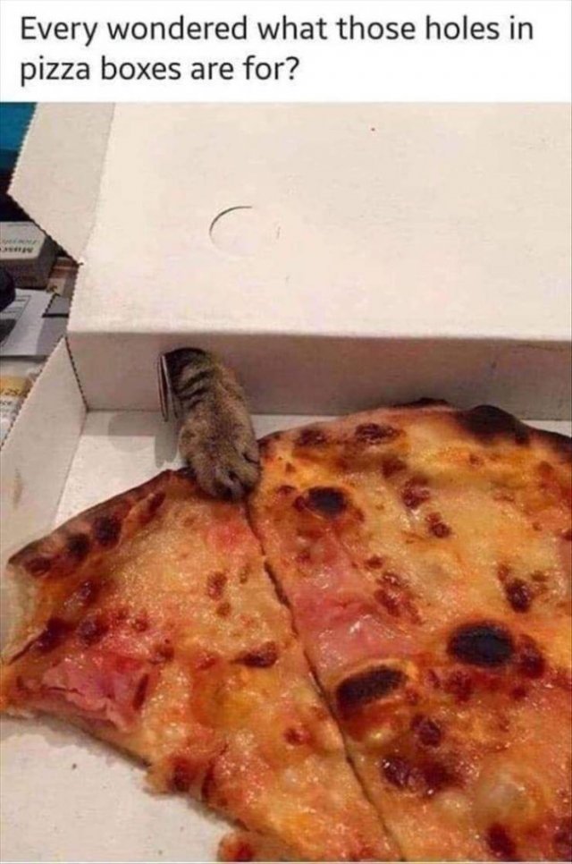 Random Funny Memes (134 pics)
