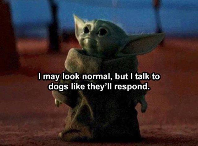 Random Funny Memes (134 pics)