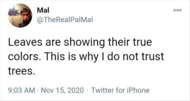 Funny Tweets (43 pics)