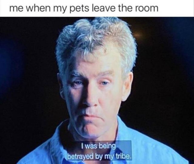 Random Funny Memes (134 pics)