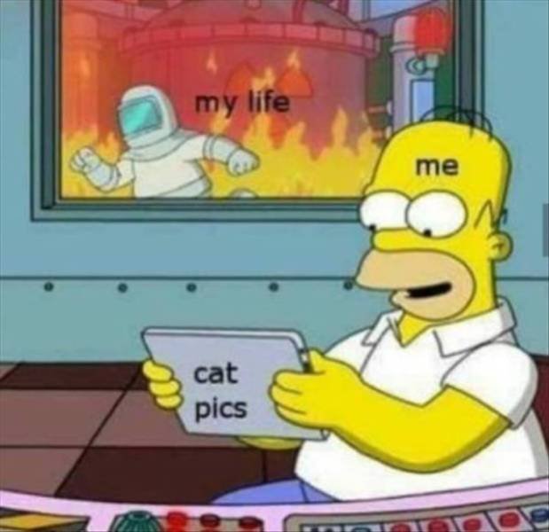 Random Funny Memes (134 pics)