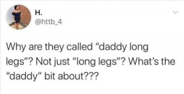 Funny Tweets (43 pics)