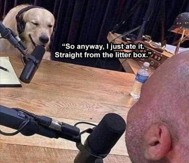 Random Funny Memes (134 pics)