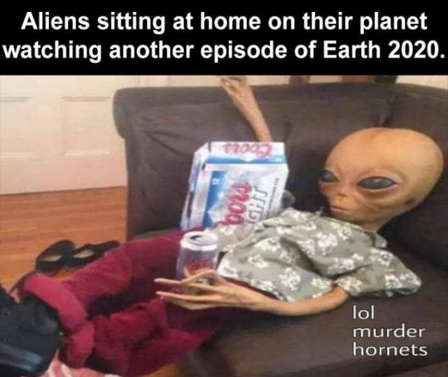 Random Funny Memes (134 pics)