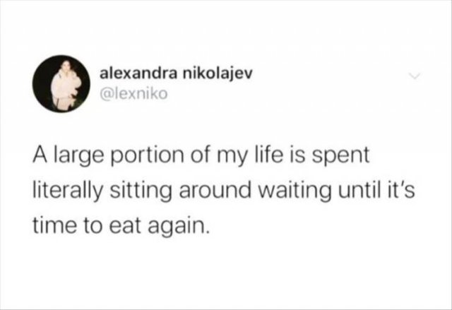Funny Tweets (43 pics)
