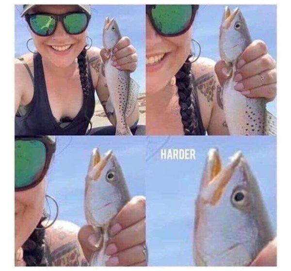 Hilarious Memes (26 pics)