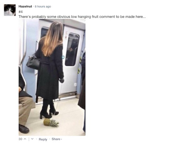 Sarcastic Comments (63 pics)
