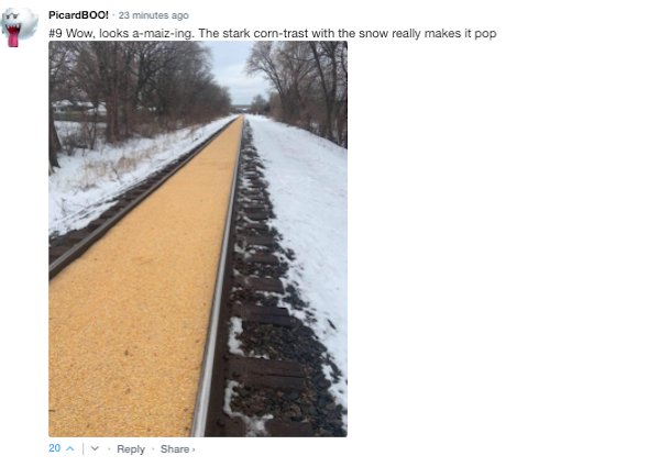 Sarcastic Comments (63 pics)