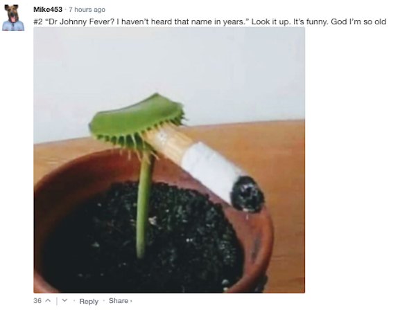 Sarcastic Comments (63 pics)