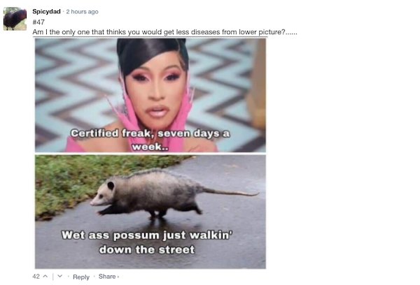 Sarcastic Comments (63 pics)