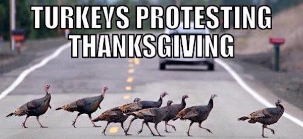 So True (34 pics)