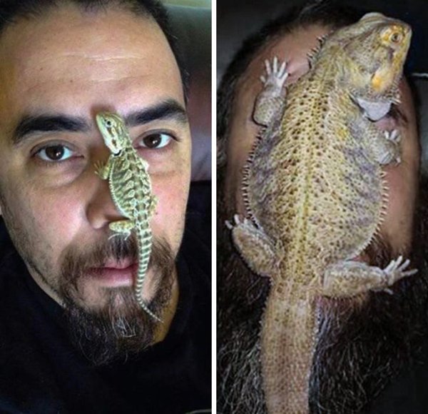 Comparison Matters (19 pics)