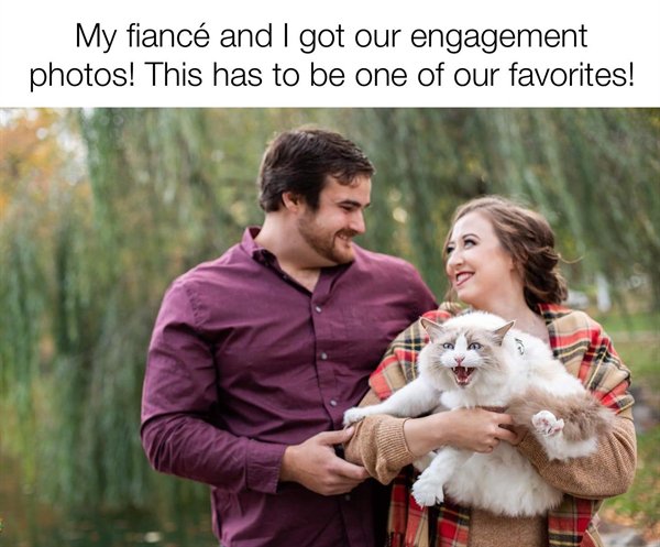 Hilarious Memes (26 pics)