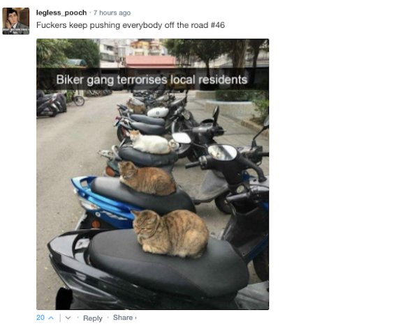 Sarcastic Comments (63 pics)