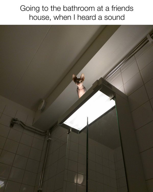 Hilarious Memes (26 pics)