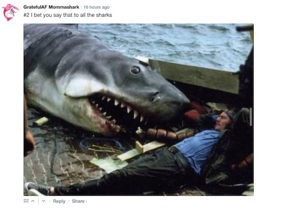 Sarcastic Comments (63 pics)
