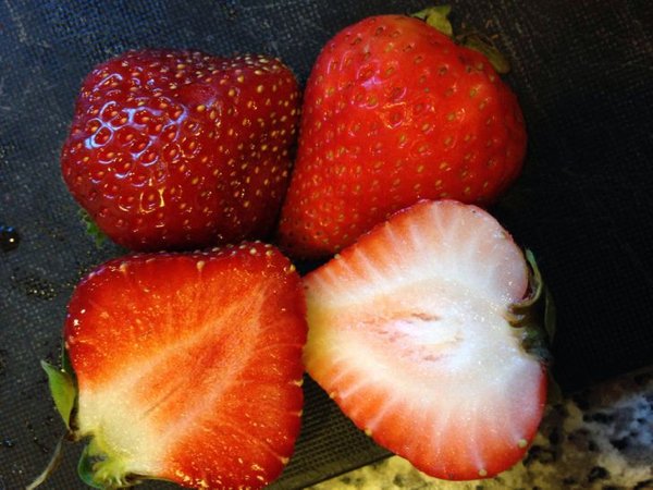 Comparison Matters (19 pics)