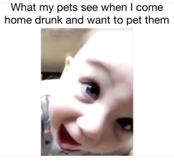 Alcohol Memes And Pictures (25 pics)