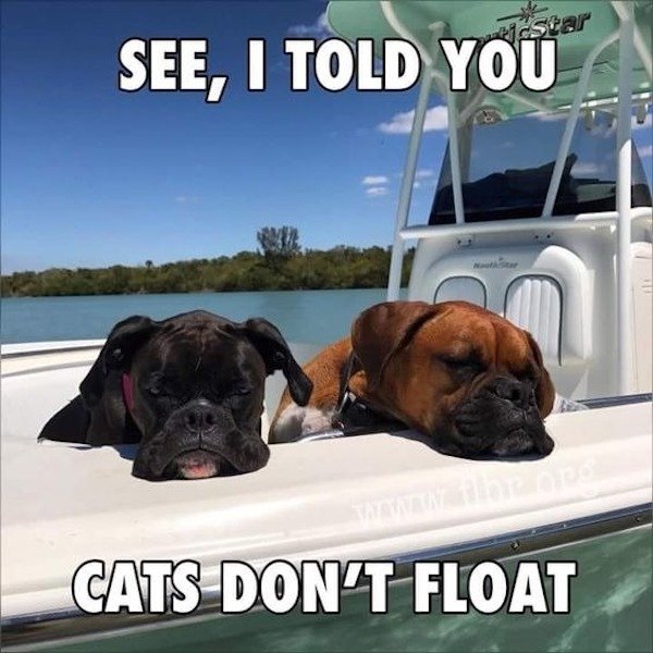 So True (34 pics)