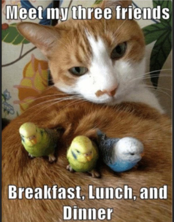 So True (34 pics)