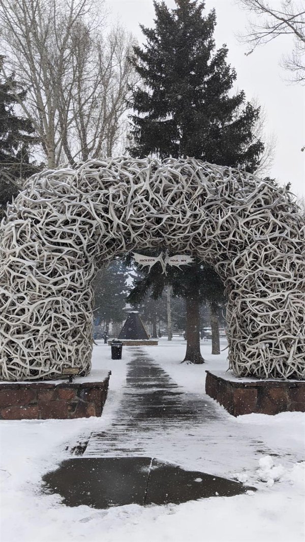 Awesome Things (25 pics)
