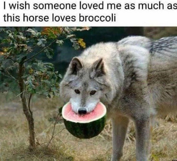 So True (34 pics)