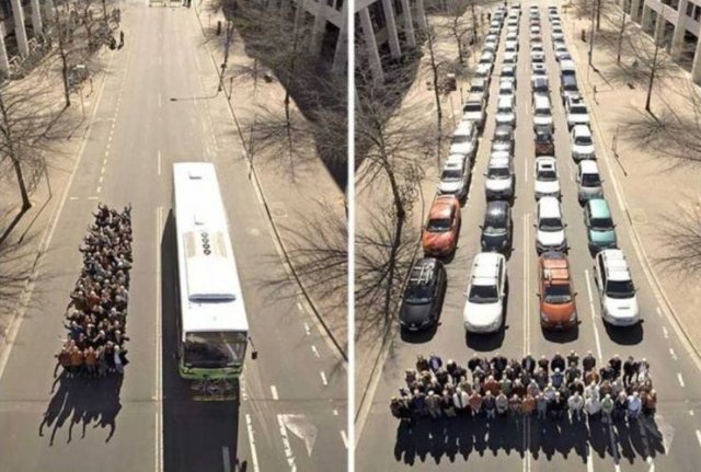 Amazing Pictures (49 pics)