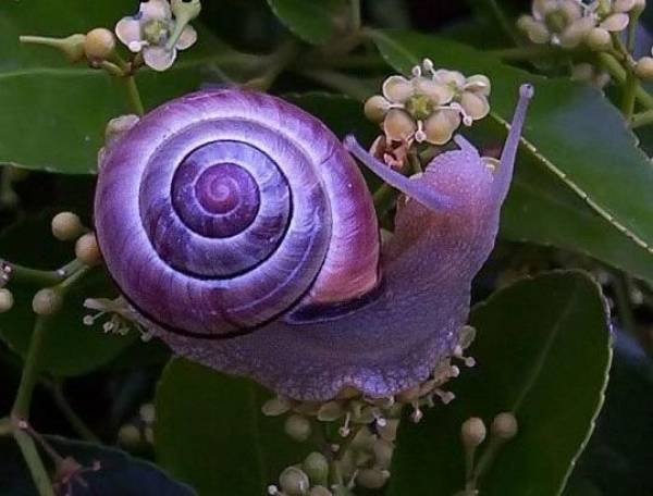 Amazing Pictures (49 pics)