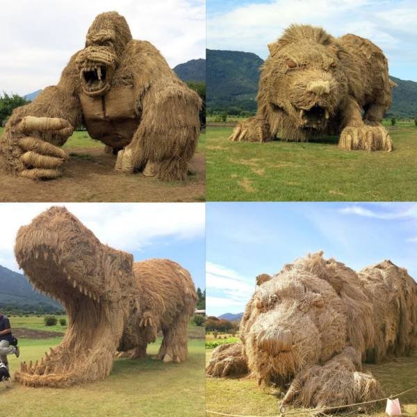 Amazing Pictures (49 pics)