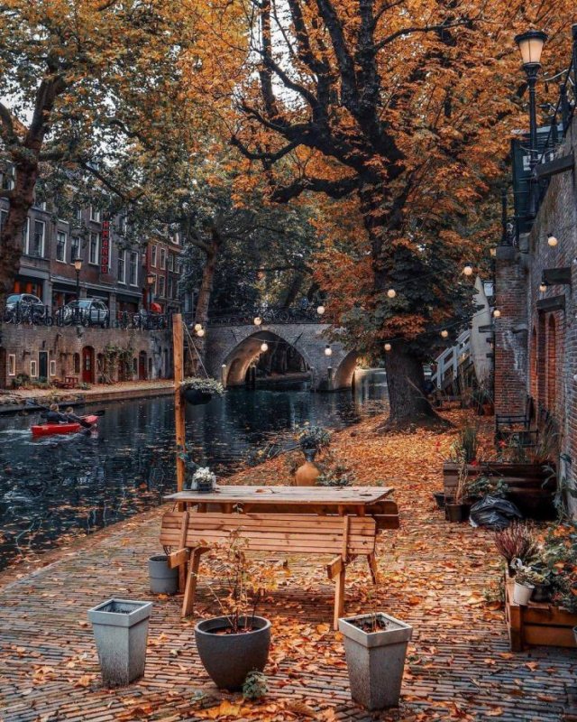 Amazing Pictures (49 pics)