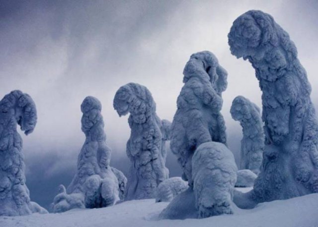 Amazing Pictures (49 pics)