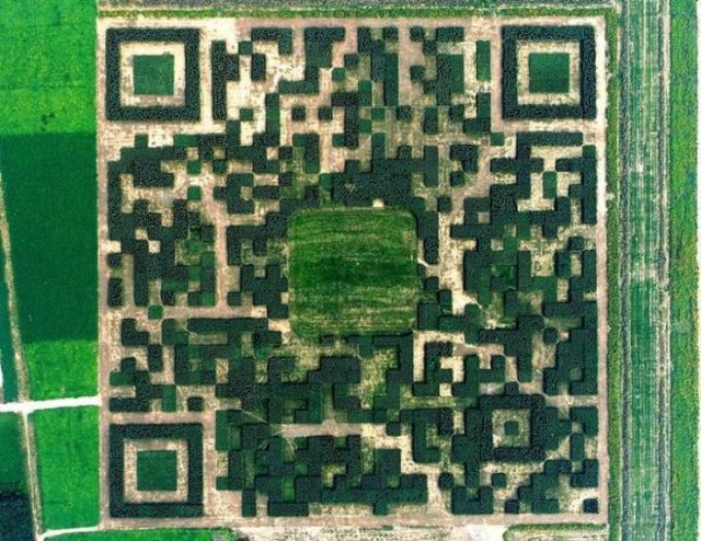 Amazing Pictures (49 pics)
