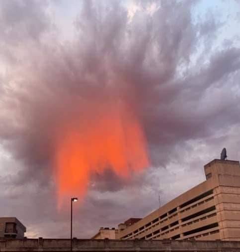 Amazing Pictures (49 pics)