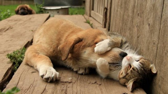 Acid Picdump. Part 1 (96 pics)