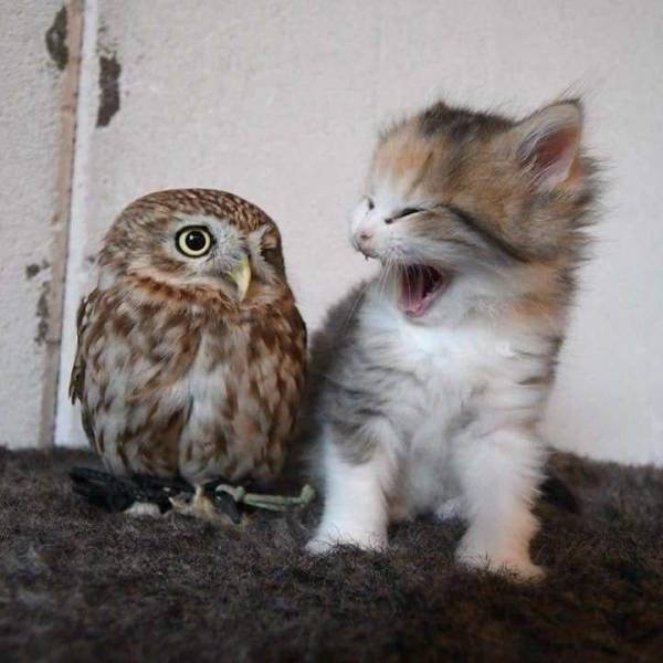 Acid Picdump. Part 1 (96 pics)
