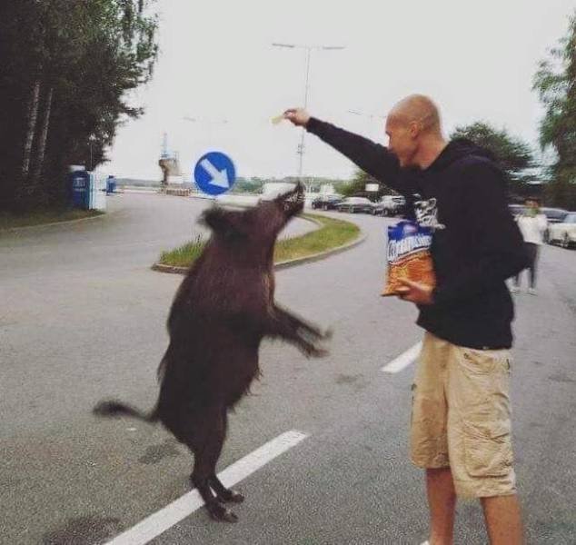 Acid Picdump. Part 1 (96 pics)