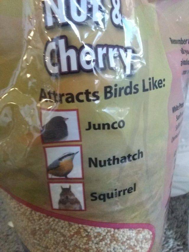 Acid Picdump. Part 1 (96 pics)