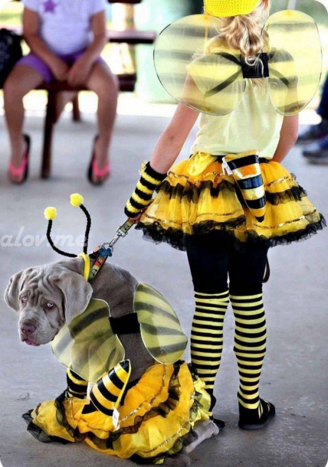 Acid Picdump. Part 1 (96 pics)