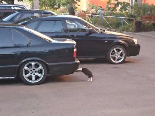 Acid Picdump. Part 1 (96 pics)