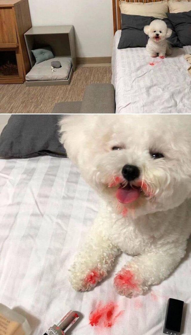 Acid Picdump. Part 1 (96 pics)