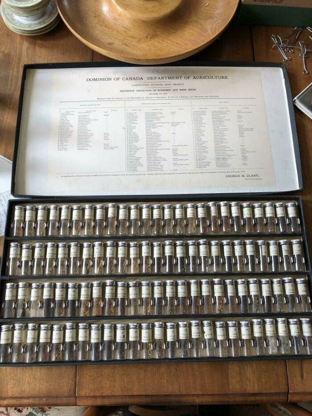 People Show Off Their Collections (49 pics)