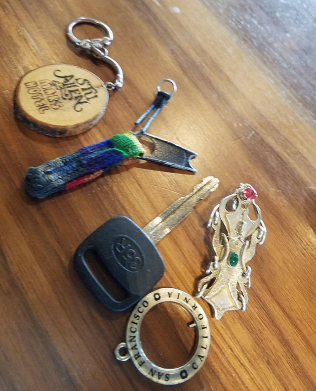 People Show Off Their Collections (49 pics)
