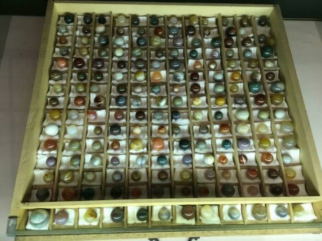 People Show Off Their Collections (49 pics)