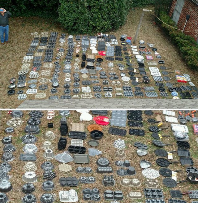 People Show Off Their Collections (49 pics)