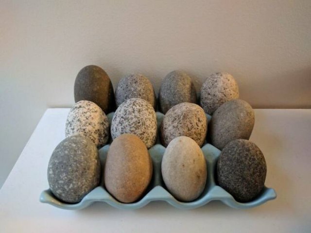 People Show Off Their Collections (49 pics)