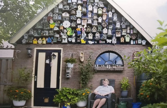 People Show Off Their Collections (49 pics)