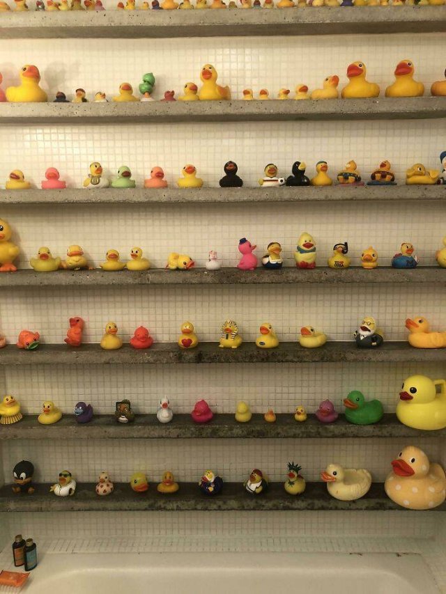 People Show Off Their Collections (49 pics)
